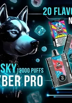 HUSKY CYBER PRO 12000