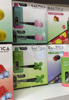 Saltica 12 000